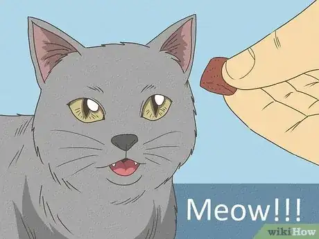 Image titled Teach Your Cat to Do Tricks Step 15