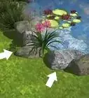 Remove Algae from a Pond Without Harming Fish