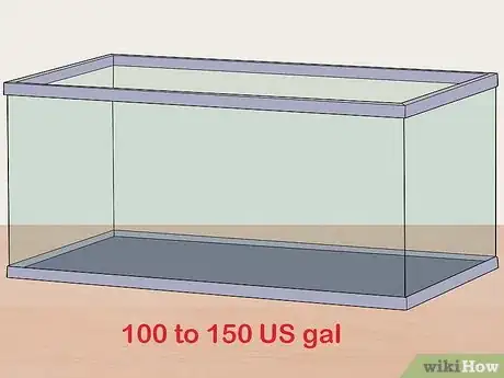 Image titled Keep Bass and Other American Gamefish in Your Home Aquarium Step 1