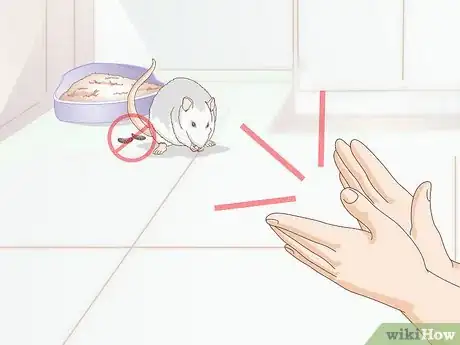 Image titled Litterbox Train Your Rat Step 6