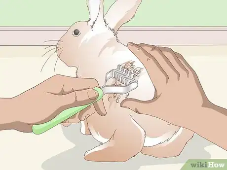 Image titled Keep Your Rabbit's Fur Clean and Untangled Step 21