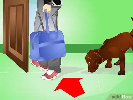 Image titled Housebreak an Adult Dog Step 3