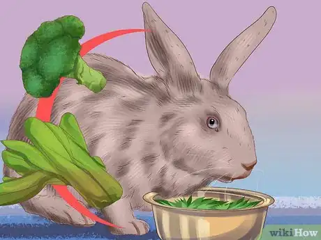 Image titled Design a Rabbit Playground Step 10