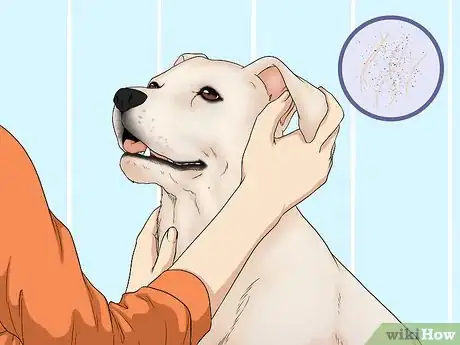 Image titled Wash a Dog's Face Step 1
