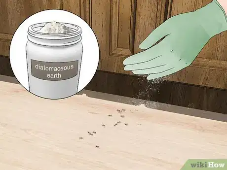 Image titled Kill Ants in Your House Step 4