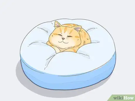 Image titled Get Your Cat to Purr Step 8