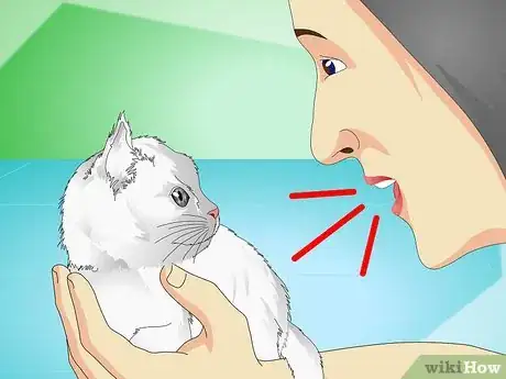 Image titled Stop Kittens from Crying Step 7
