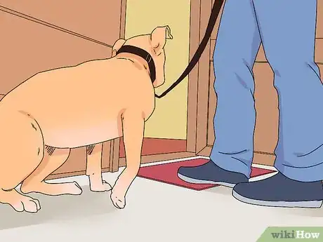 Image titled Train a Dog Step 58