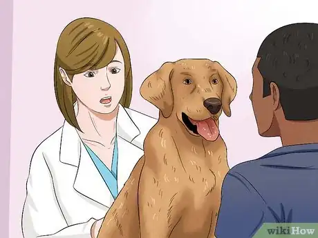 Image titled Get Your Dog to Eat Dry Food Step 1