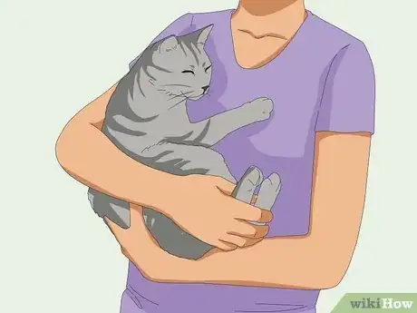 Image titled Get Your Cat to Know and Love You Step 7