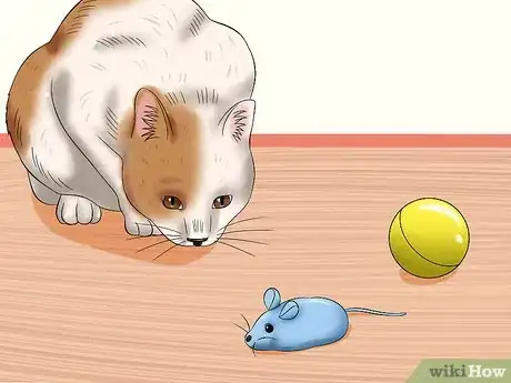 Image titled Plan and Prepare for Your New Cat Step 16