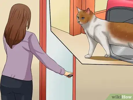 Image titled Take Your Cat to the Vet Step 14