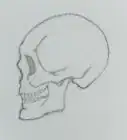Draw a Skull