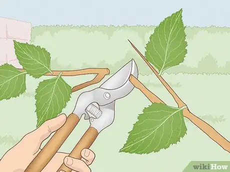 Image titled Clean Your Rusty Garden Tools Step 11
