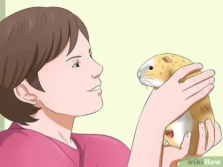 Image titled Get Your Guinea Pig to Trust You Step 12