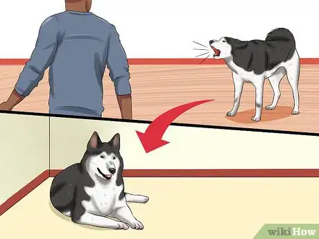 Image titled Train Your Dog to Be Calm Step 7