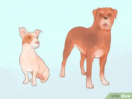 Image titled Choose a Dog Step 6