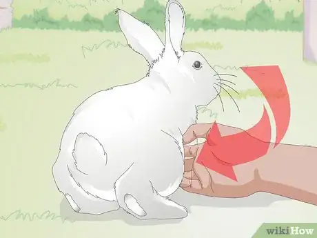 Image titled Hold a Rabbit Step 3