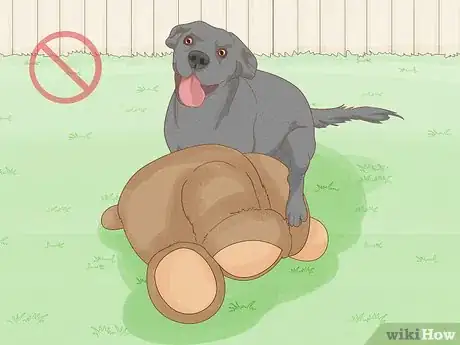 Image titled Stop a Dog from Humping Step 8