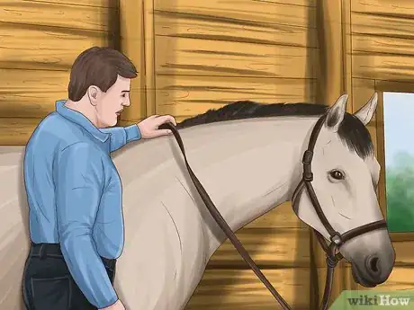 Image titled Care for Your Horse After Riding Step 13