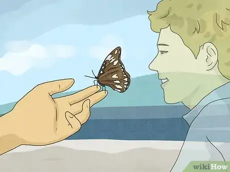 Image titled What Does It Mean when a Butterfly Lands on You Step 2