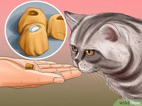 Image titled Give Gabapentin to Cats with Cancer Step 9