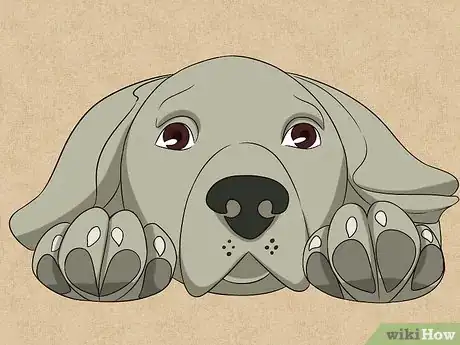 Image titled Draw a Dog Face Step 8