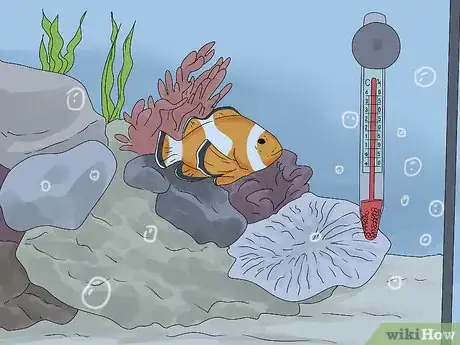 Image titled Tell if Your Fish Is Dead Step 13