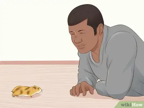 Image titled Tame a Hamster Step 10