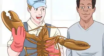 Create Lobster Farms