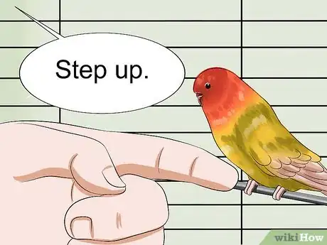 Image titled Tame Your Budgies Step 15