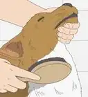 Give a Small Dog a Bath