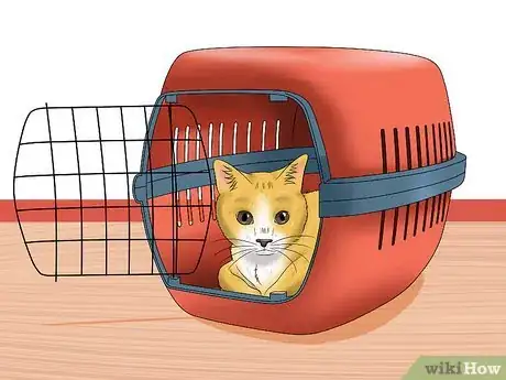 Image titled Plan and Prepare for Your New Cat Step 10