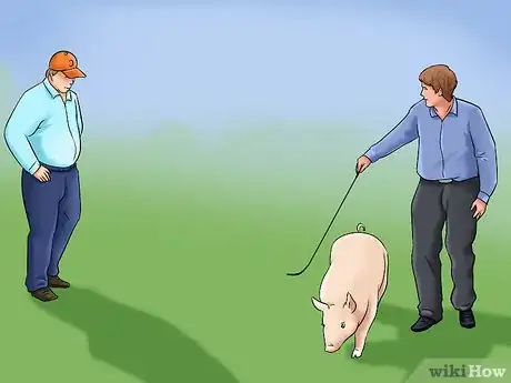 Image titled Show Your Pigs Step 10