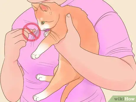 Image titled Put Your Cat on a Diet Step 17