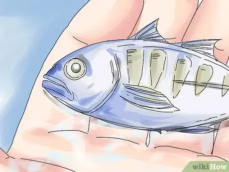 Image titled Get Over a Fish's Death Step 7