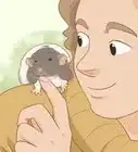 Train Your Rat to Do Tricks