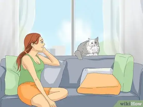 Image titled Get Your Cat to Know and Love You Step 4