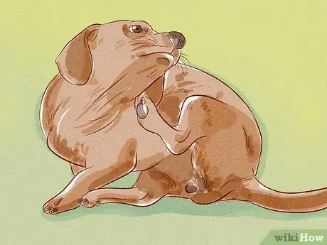 Image titled Tell if Your Dog Has Fleas Step 1