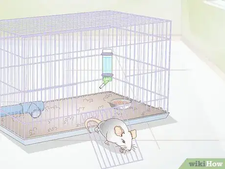 Image titled Play With Gerbils Step 10