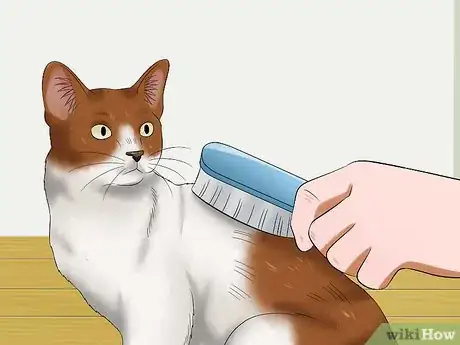 Image titled Help a Cat Not Throw Up Step 4