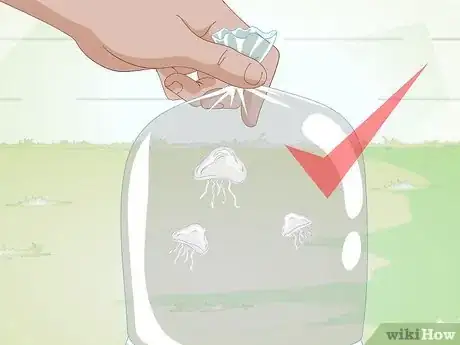 Image titled Start a Jellyfish Tank Step 12