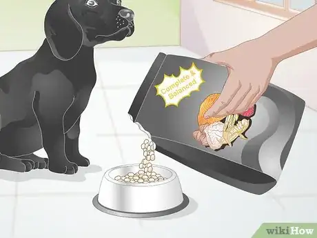 Image titled Create a Feeding Routine for Your Dog Step 10