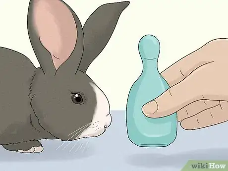 Image titled Stop a Bunny from Chewing Its Cage Step 10