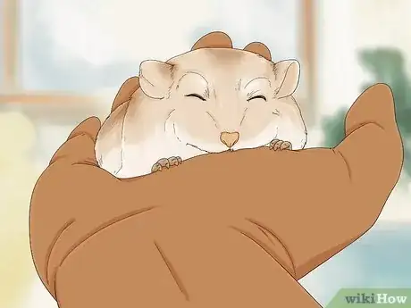 Image titled Tame Your Gerbils Step 5