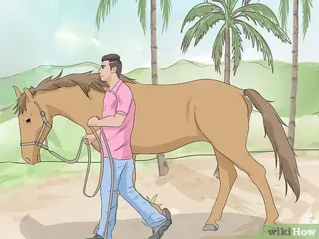 Image titled Train a Horse to Lead Step 10