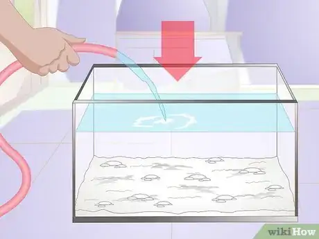 Image titled Acclimate Your Betta Step 3