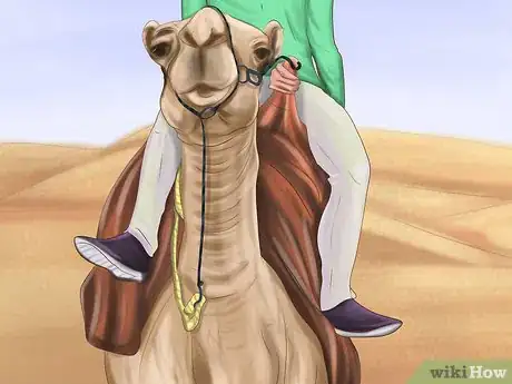 Image titled Ride a Camel Step 6