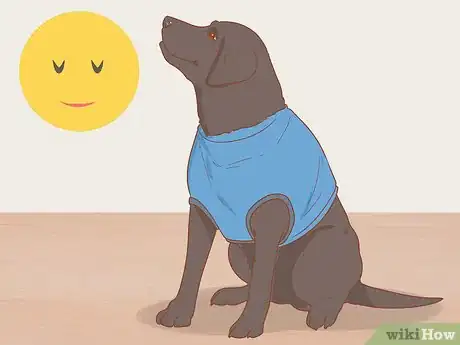 Image titled Get a Service Dog Step 11