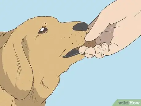 Image titled Teach Your Dog to Speak Step 5